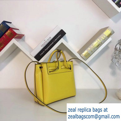 Loewe Boxcalf Lazo Mini Bag Yellow 2019