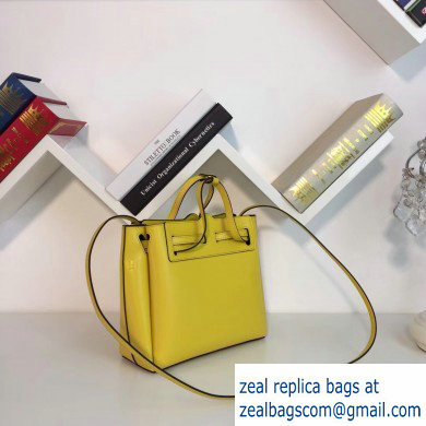 Loewe Boxcalf Lazo Mini Bag Yellow 2019 - Click Image to Close