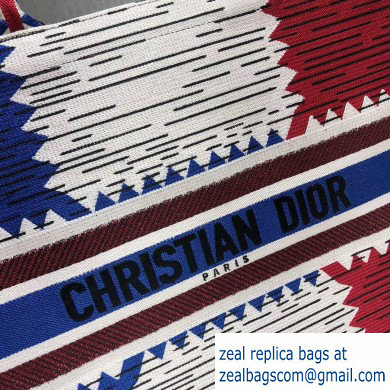 Dior Book Tote Bag in Embroidered Canvas Multicolored French Flag