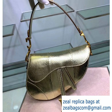 Dior Saddle Bag in Python Gold