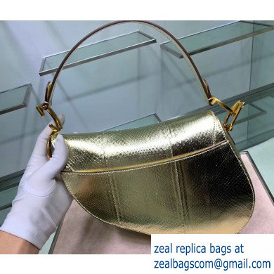 Dior Saddle Bag in Python Gold