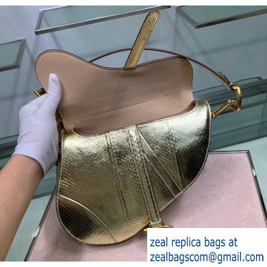Dior Saddle Bag in Python Gold