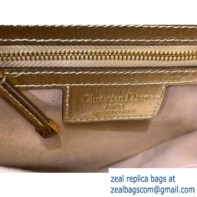 Dior Saddle Bag in Python Gold