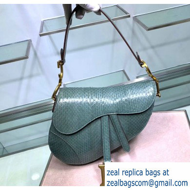 Dior Saddle Bag in Python Mint Green