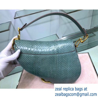 Dior Saddle Bag in Python Mint Green - Click Image to Close