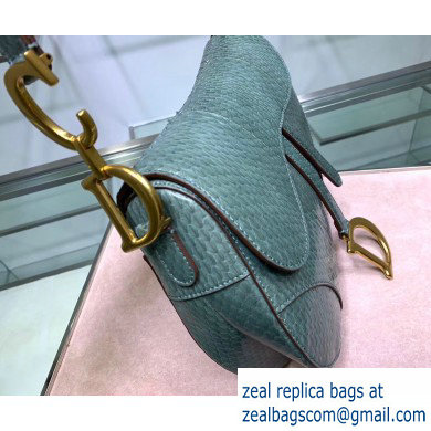 Dior Saddle Bag in Python Mint Green - Click Image to Close