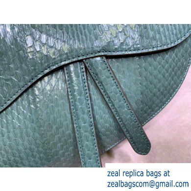 Dior Saddle Bag in Python Mint Green - Click Image to Close