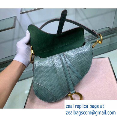 Dior Saddle Bag in Python Mint Green