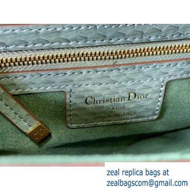 Dior Saddle Bag in Python Mint Green - Click Image to Close