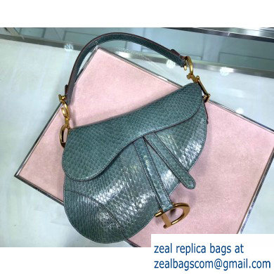 Dior Saddle Bag in Python Mint Green - Click Image to Close