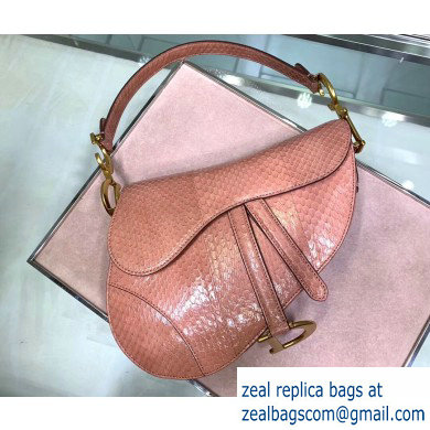 Dior Saddle Bag in Python Nude Pink - Click Image to Close