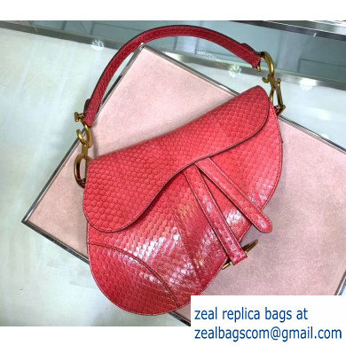 Dior Saddle Bag in Python Peach Red