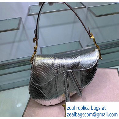 Dior Saddle Bag in Python Silver - Click Image to Close