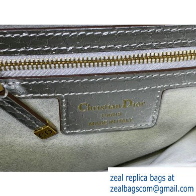 Dior Saddle Bag in Python Silver - Click Image to Close