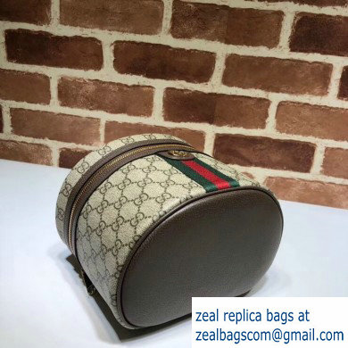 Gucci Web Ophidia GG Cosmetic Case Bag 611001 2020