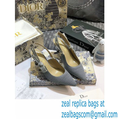 Dior Heel 6.5cm J'Adior Metallic Thread Embroidered Slingback Pumps Gray 2020 - Click Image to Close