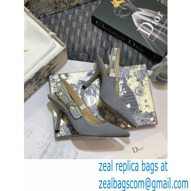 Dior Heel 9.5cm J'Adior Metallic Thread Embroidered Slingback Pumps Gray 2020 - Click Image to Close