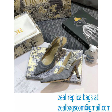 Dior Heel 9.5cm J'Adior Metallic Thread Embroidered Slingback Pumps Gray 2020 - Click Image to Close