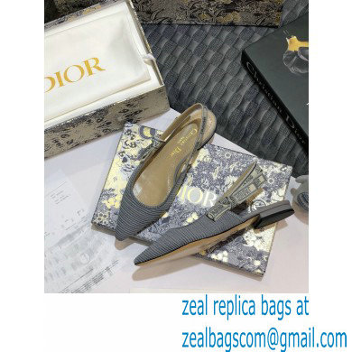 Dior J'Adior Metallic Thread Embroidered Slingback Ballet Flats Gray 2020