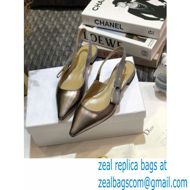 Dior Rhinestone J'Adior Slingback Ballet Flats Metallic Silver 2020 - Click Image to Close