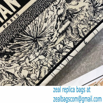Dior Small Book Tote Bag in Multicolor Zodiac Embroidery 2021 - Click Image to Close