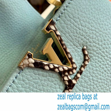 Louis Vuitton Capucines Mini Bag Python Handle M55922 Pale Green