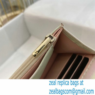 Chanel woc bag iridescent silver with gold hardware 2021