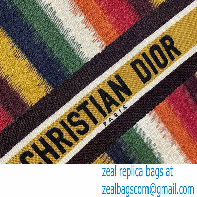 Dior Book Tote Bag in Multicolor D-Stripes Embroidery 2021