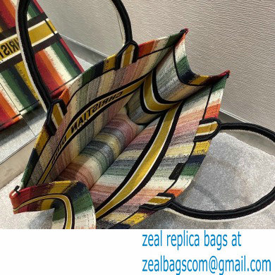 Dior Book Tote Bag in Multicolor D-Stripes Embroidery 2021