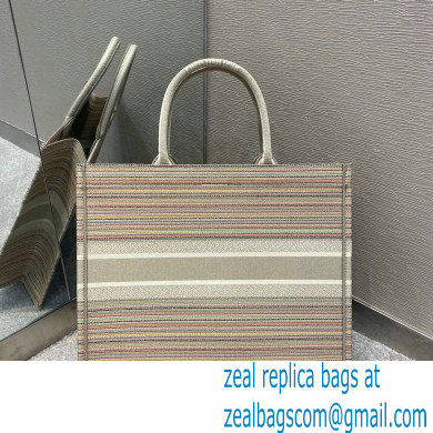 Dior Book Tote Bag in Multicolor Stripes Embroidery 2021