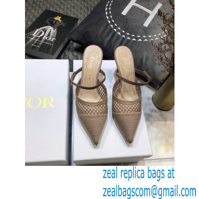 Dior Heel 7cm D-Choc Mules in Mesh Nude 2021