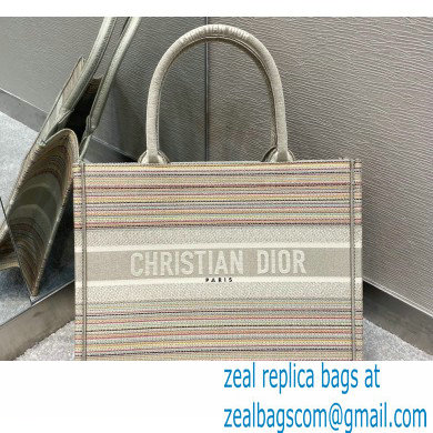 Dior Small Book Tote Bag in Multicolor Stripes Embroidery 2021 - Click Image to Close