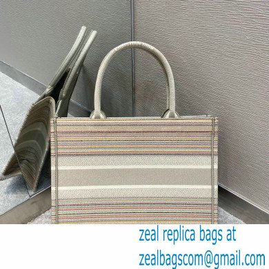 Dior Small Book Tote Bag in Multicolor Stripes Embroidery 2021 - Click Image to Close