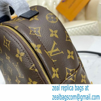 Louis Vuitton Monogram Canvas Palm Springs Mini Backpack Bag M44873