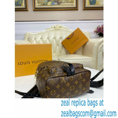 Louis Vuitton Monogram Canvas Palm Springs PM Backpack Bag M44871