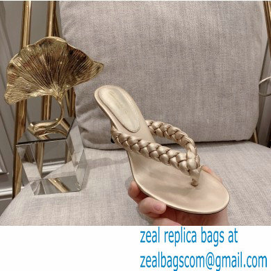 Gianvito Rossi Heel 7.5cm Woven Tropea Thong Sandals Mules Gold - Click Image to Close