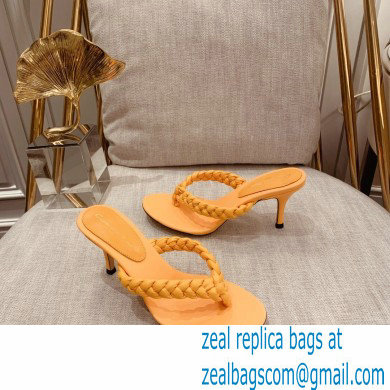 Gianvito Rossi Heel 7.5cm Woven Tropea Thong Sandals Mules Yellow - Click Image to Close