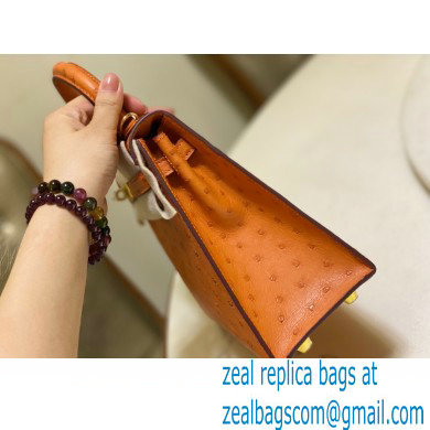 HERMES OSTRICH LEATHER KELLY 25 BAG orange - Click Image to Close
