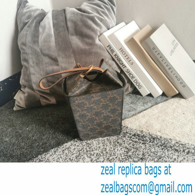 Celine Strap Box Bag in Triompe Canvas black 2021