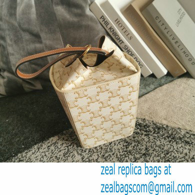 Celine Strap Box Bag in Triompe Canvas white 2021