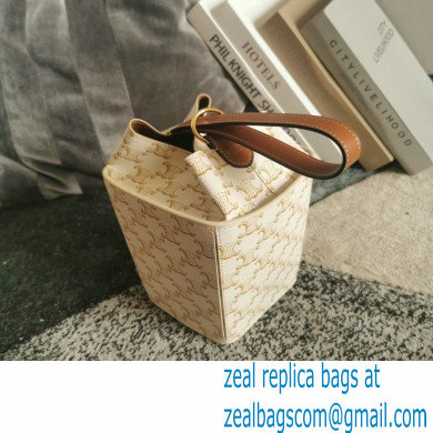 Celine Strap Box Bag in Triompe Canvas white 2021