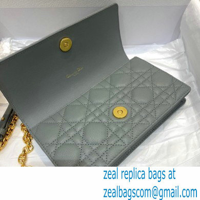 Dior Caro Belt Pouch with Chain Bag Gray 2021