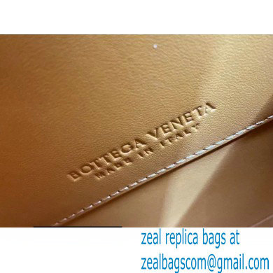 Bottega Veneta Mount Medium Leather Envelope Bag Cob 2021 - Click Image to Close