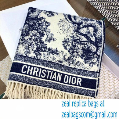 Dior Blanket 140x140cm D11 2021 - Click Image to Close