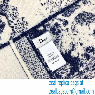Dior Blanket 140x140cm D11 2021 - Click Image to Close
