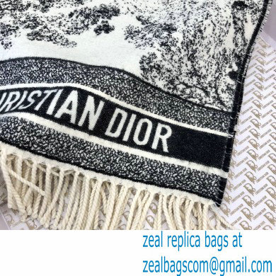 Dior Blanket 140x140cm D12 2021 - Click Image to Close