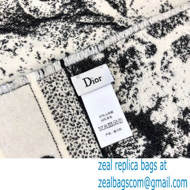 Dior Blanket 140x140cm D12 2021 - Click Image to Close