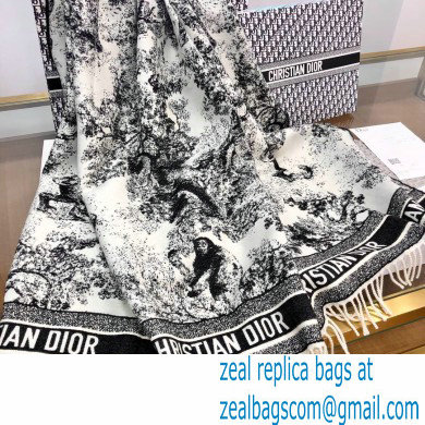 Dior Blanket 140x140cm D12 2021 - Click Image to Close