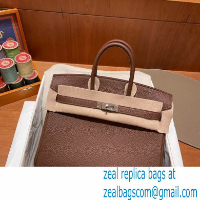 Hermes Birkin 25cm Bag alezan in Original Togo Leather