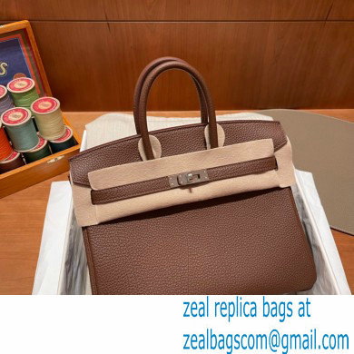 Hermes Birkin 25cm Bag alezan in Original Togo Leather - Click Image to Close